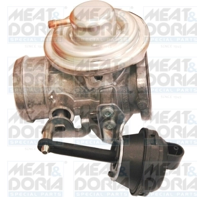 EGR Valve